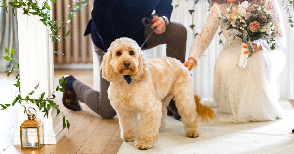 Gallery image 8: berwick-lodge