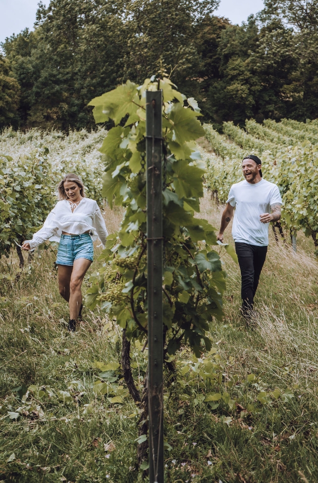Engaged couple walk either side of the vines throug a vineyard