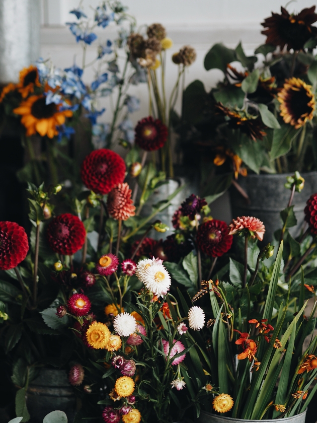 buckets of flowers at Bramble and Wild
