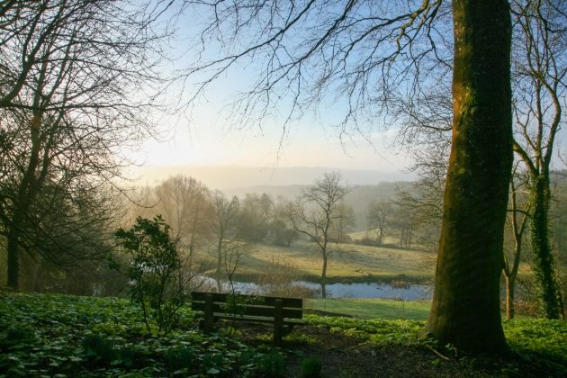 The parkland in morning winter sunlight at Newark Park 