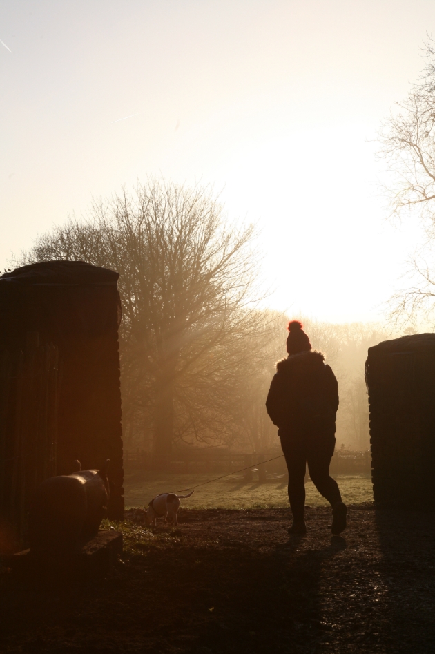 A visitor walking their dog in the garden 