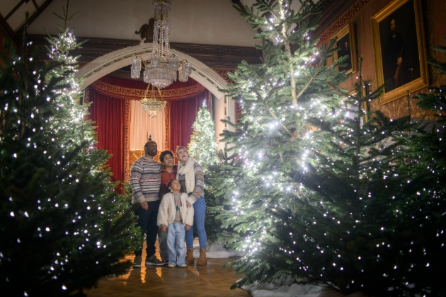 Family in aweTyntesfield Christmas trees