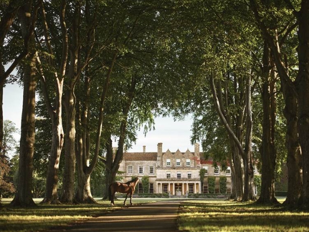 Lucknam Park through the trees with horse in view